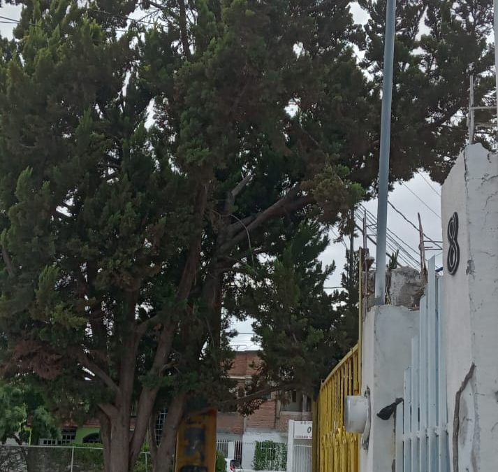 DEN00239